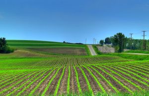 Ag Machinery Manufacturing Client Experience